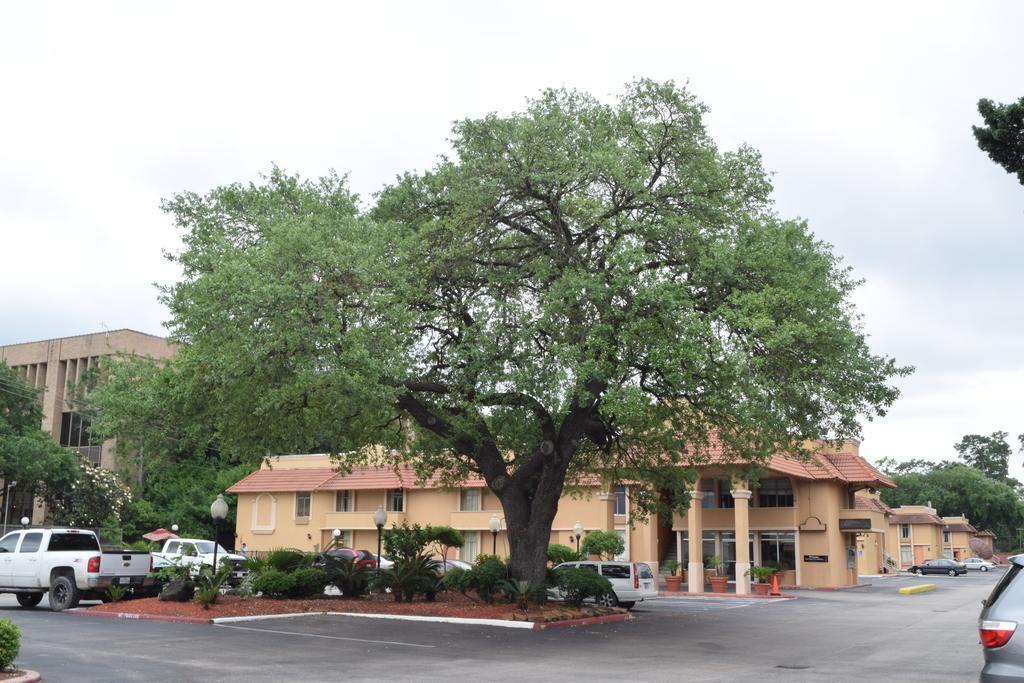 Memorial Inn And Suites 休斯敦 外观 照片